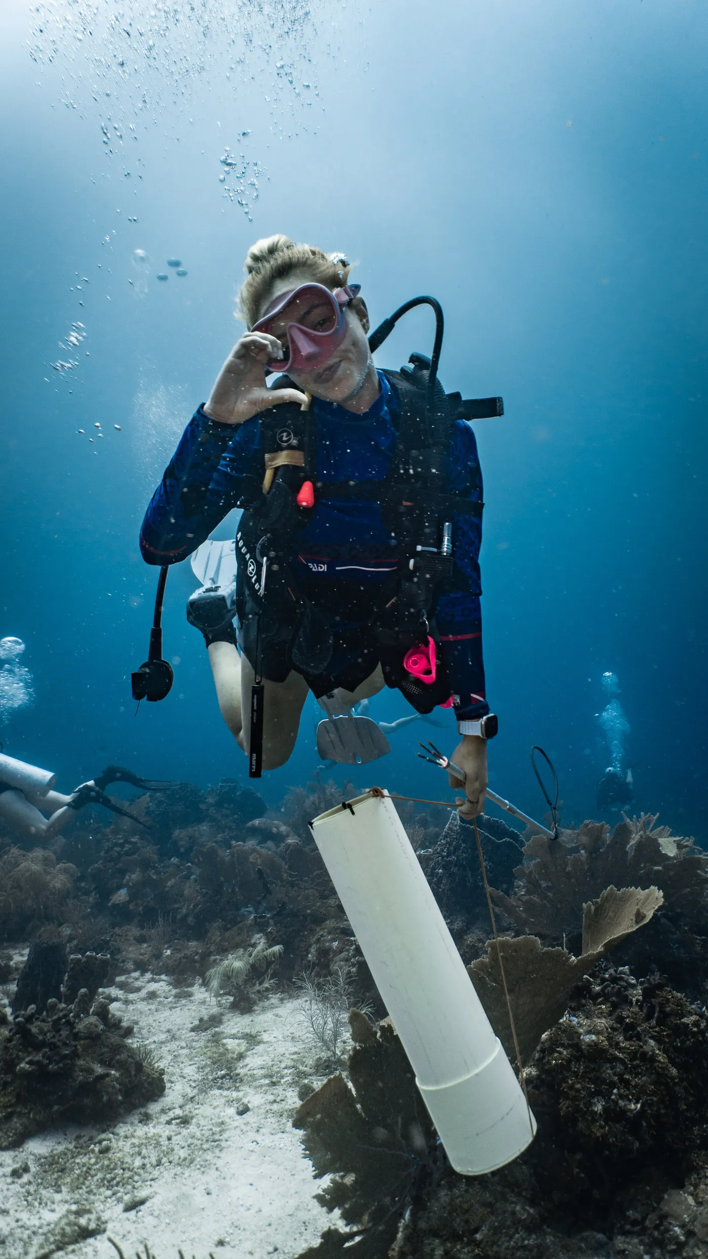 Lionfish hunting