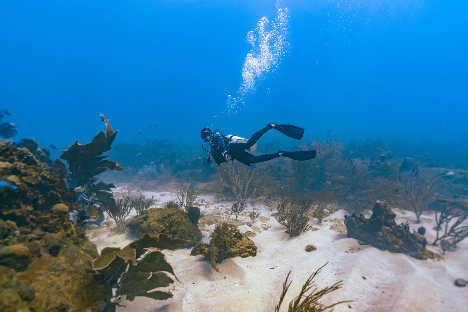 Advanced Open Water course