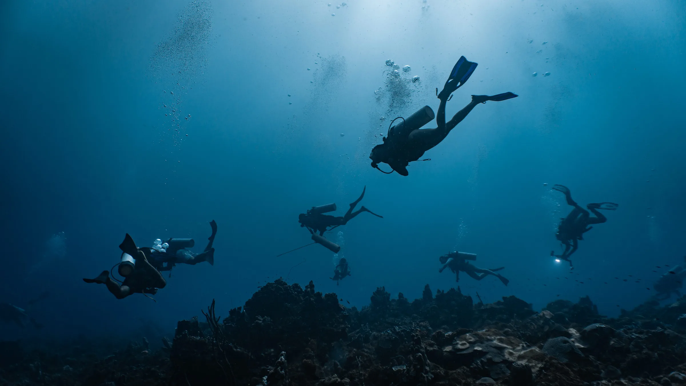 Divers over the reef in Isla Fuerte
