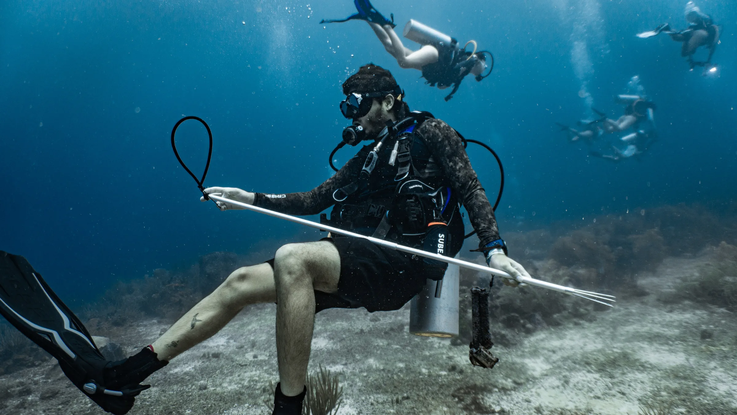Lionfish hunting expedition in Bushnell