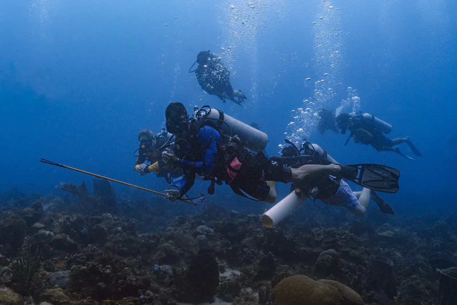 Diver over the reef