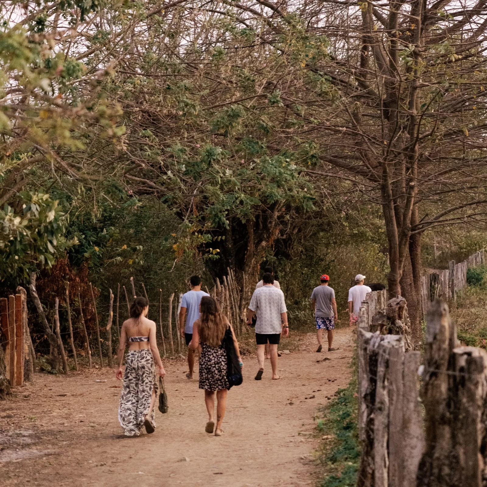 Caminata ecológica