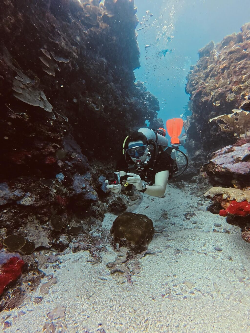 Instagram post from nautilusislafuerte. This post is in position 4.
