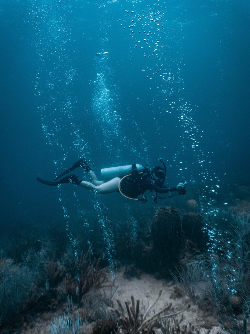 Instagram post from nautilusislafuerte. This post is in position 1.