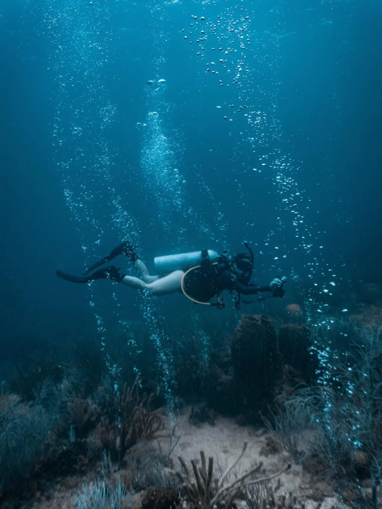 Instagram post from nautilusislafuerte. This post is in position 1.