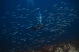 Instagram post from nautilusislafuerte. This post is in position 11.