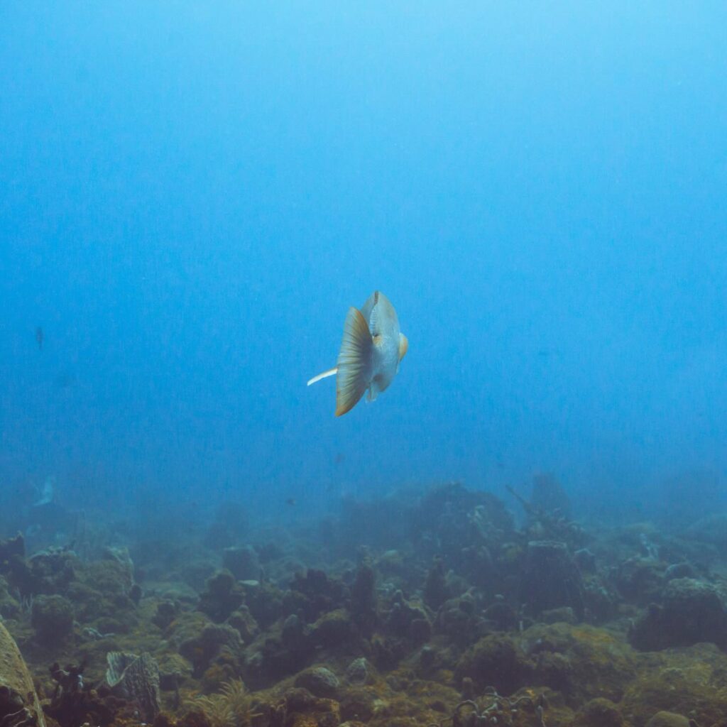 Instagram post from nautilusislafuerte. This post is in position 3.