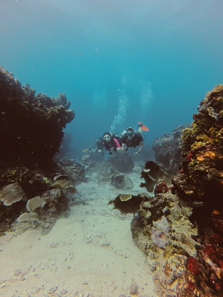 Instagram post from nautilusislafuerte. This post is in position 9.