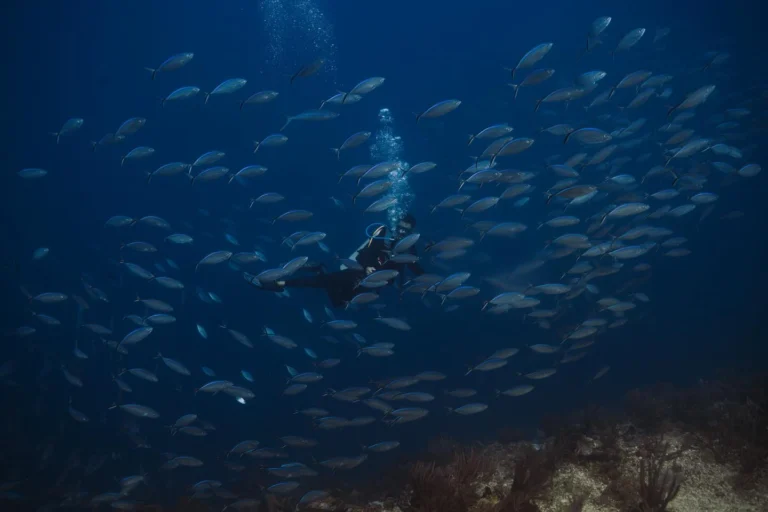 Instagram post from nautilusislafuerte. This post is in position 0.