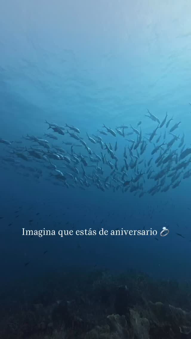 Instagram post from nautilusislafuerte. This post is in position 3.