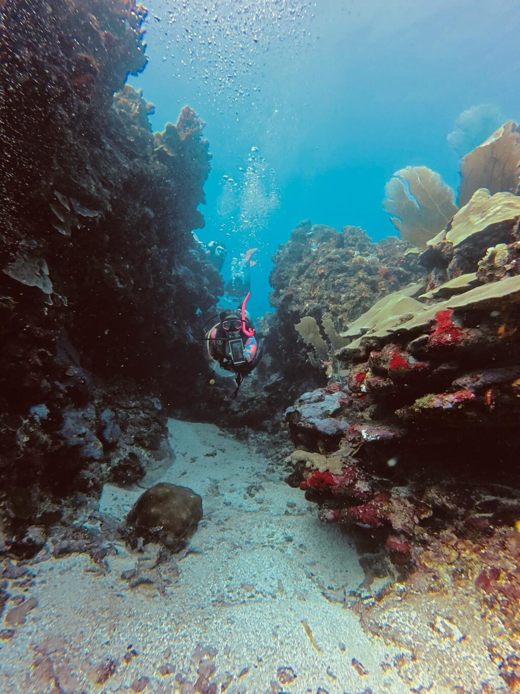 Instagram post from nautilusislafuerte. This post is in position 5.