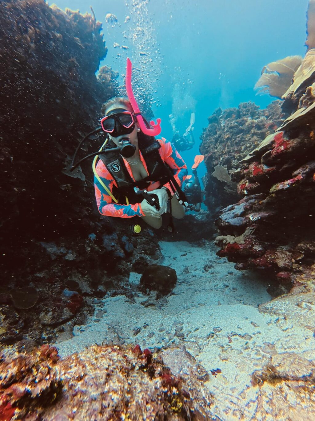 Instagram post from nautilusislafuerte. This post is in position 3.