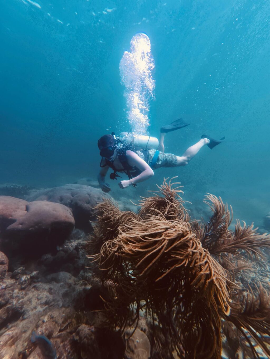 Instagram post from nautilusislafuerte. This post is in position 3.