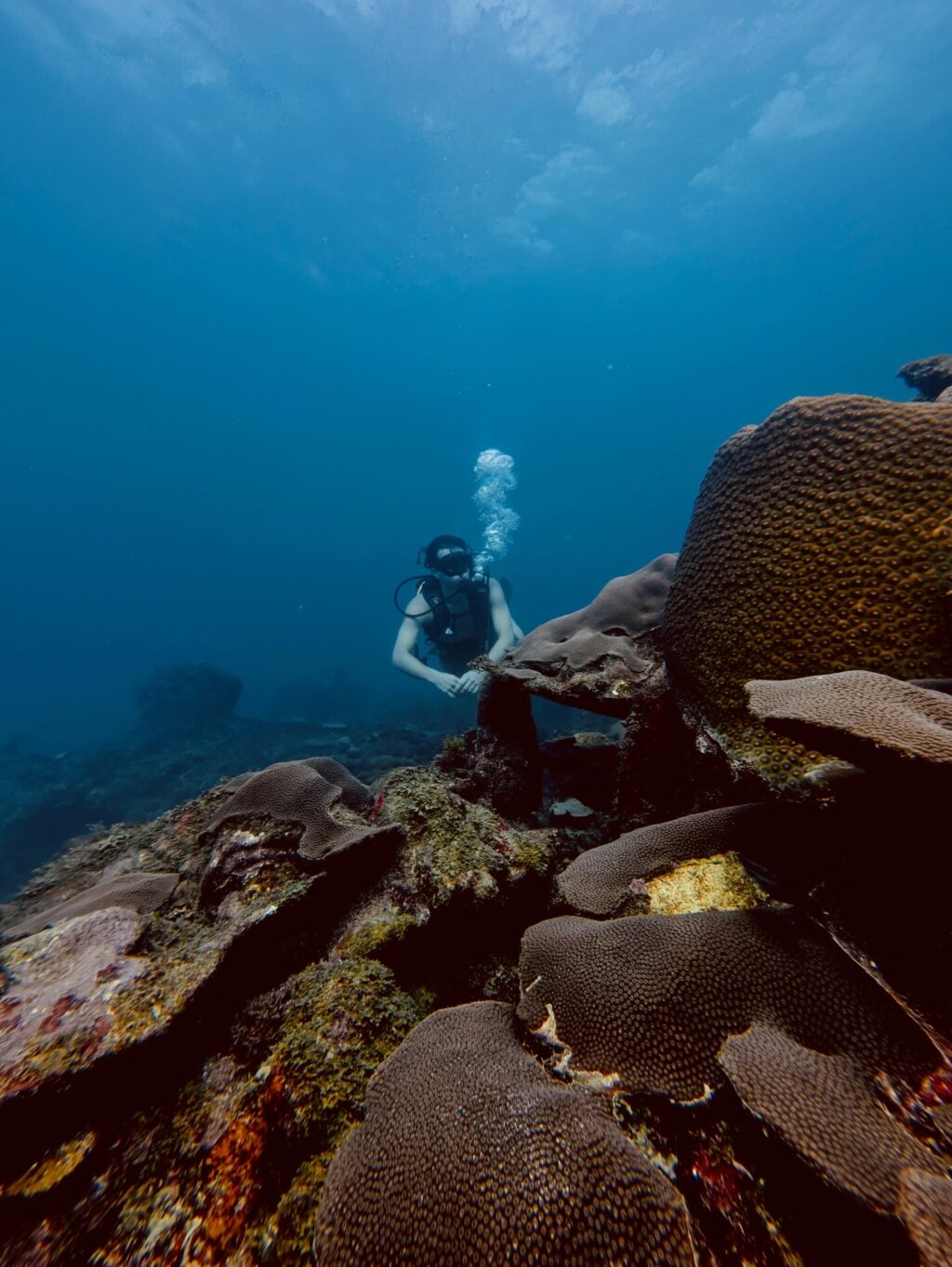 Instagram post from nautilusislafuerte. This post is in position 7.