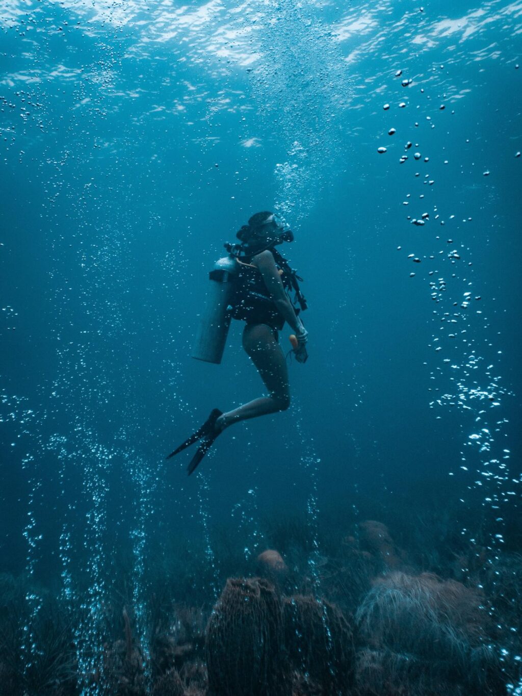 Instagram post from nautilusislafuerte. This post is in position 0.
