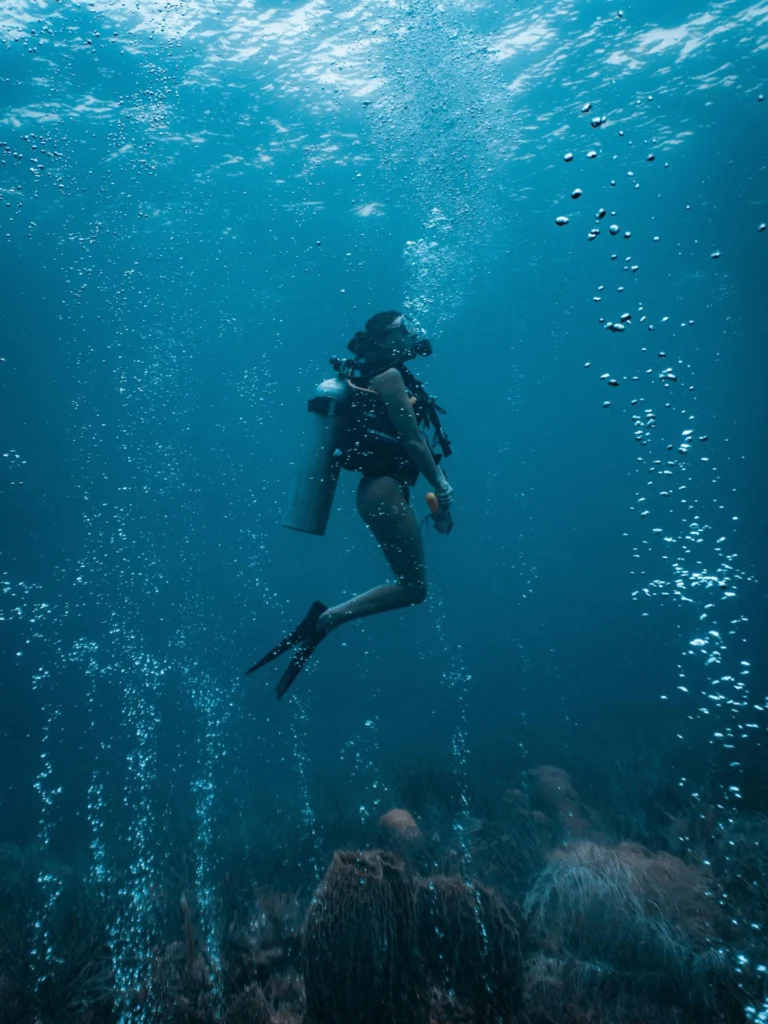 Instagram post from nautilusislafuerte. This post is in position 0.