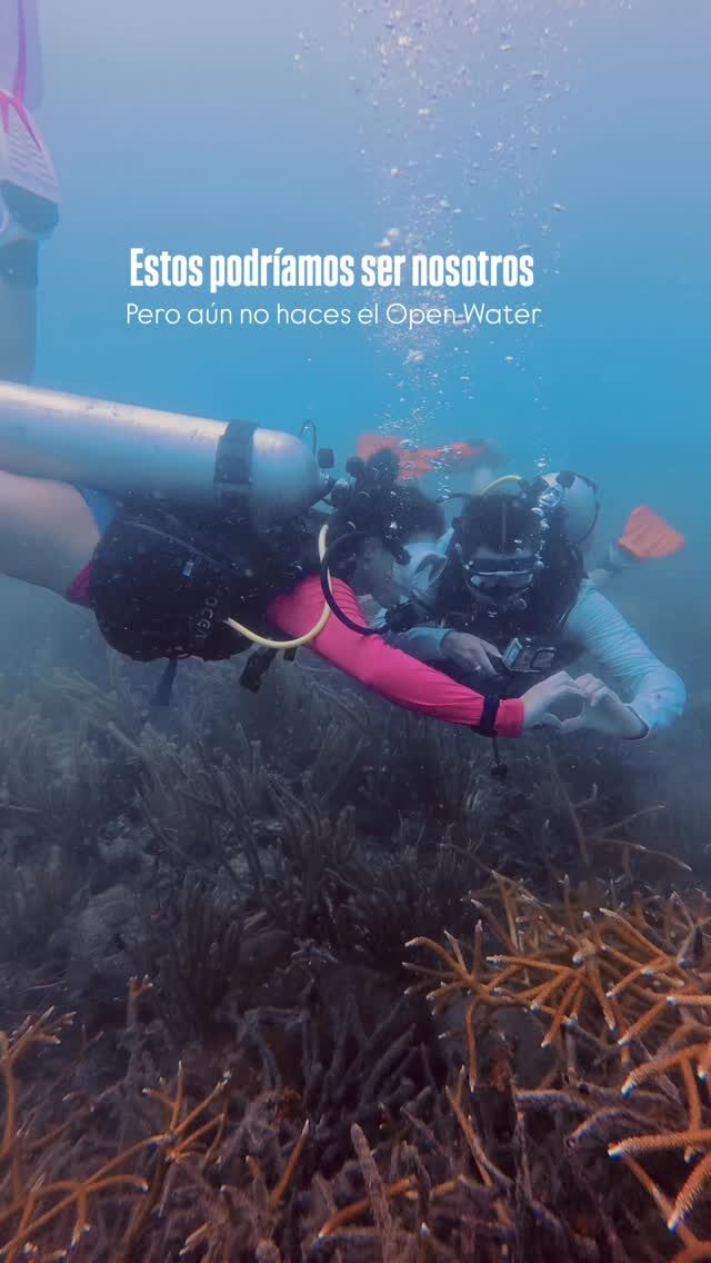 Instagram post from nautilusislafuerte. This post is in position 14.