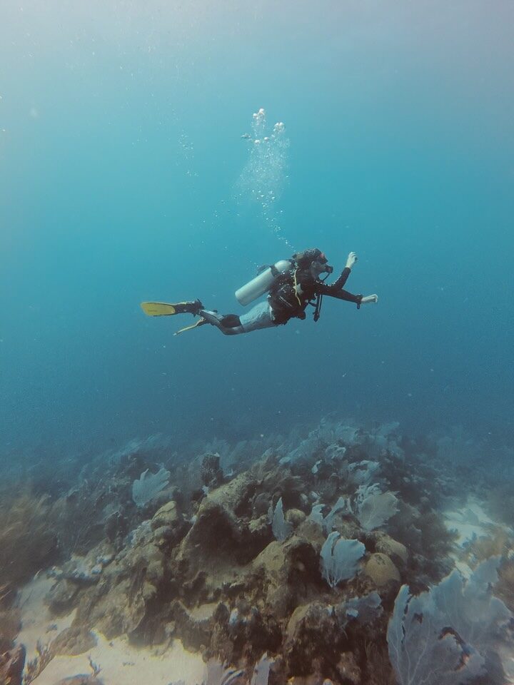 Instagram post from nautilusislafuerte. This post is in position 8.